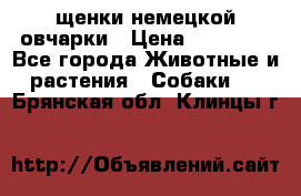 щенки немецкой овчарки › Цена ­ 15 000 - Все города Животные и растения » Собаки   . Брянская обл.,Клинцы г.